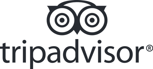 tripadvisor website